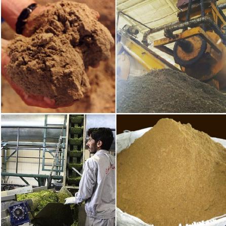 خرید ارزان و به صرفه پودر ساردین