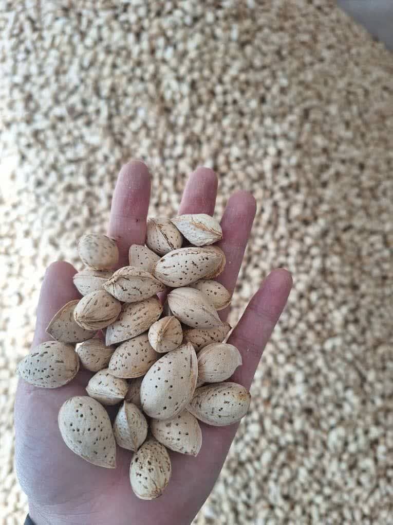 خشکبار سامان بادام محب