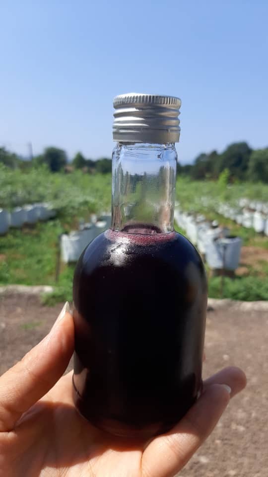 پخش عمده شربت بلوبری + ارسال رایگان به سراسر کشور