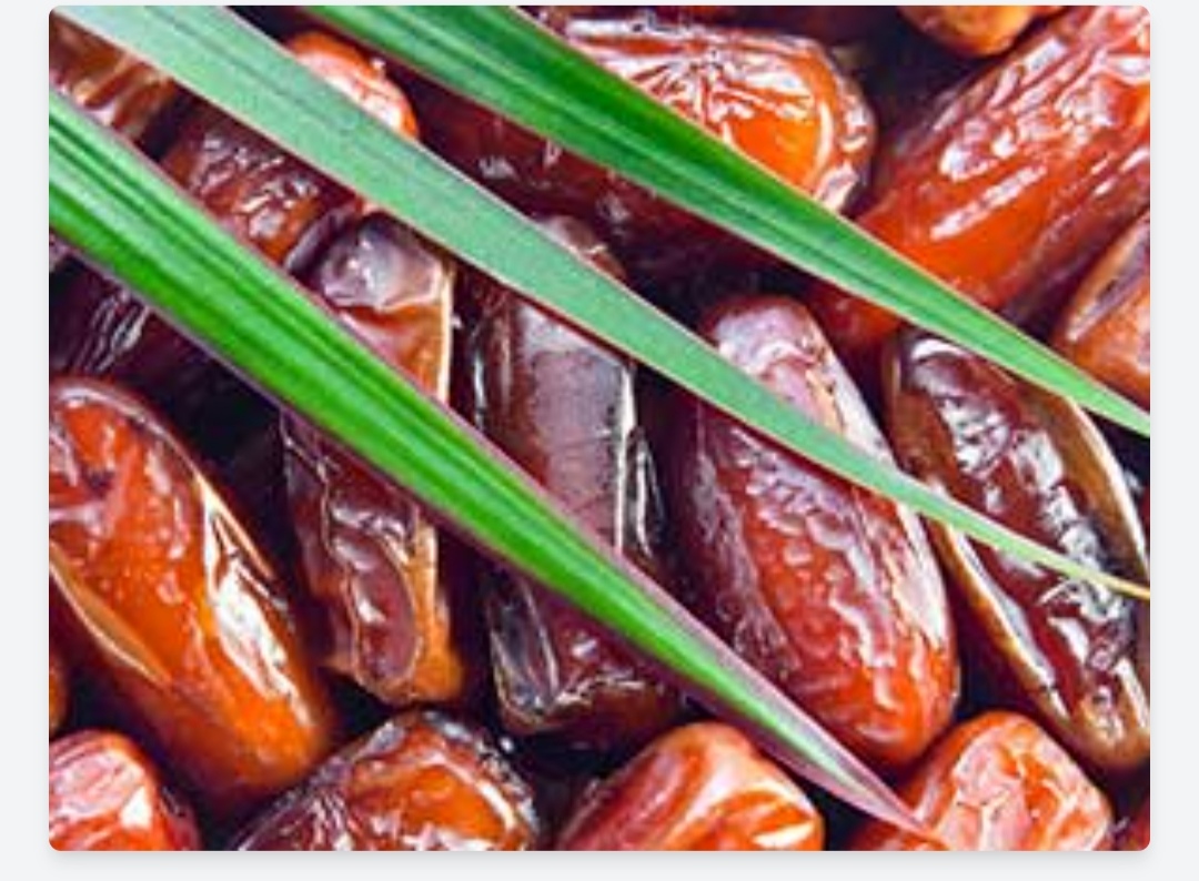 خرید و قیمت خرما صادراتی جهرم + فروش عمده