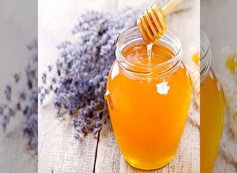 خرید عسل اسطوخودوس کوهی