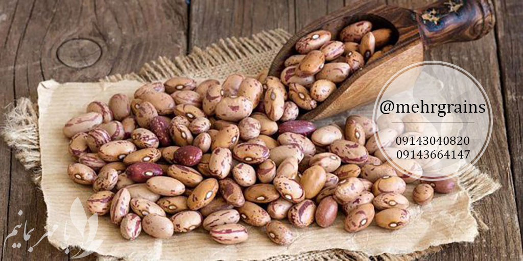 لوبیا چیتی دهاقان