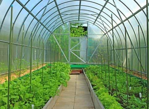 خرید تضمینی نایلون گلخانه ای عریض + کیفیت صادراتی