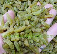 کشمش سبز قلمی کاشمر