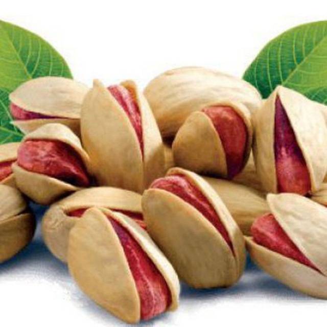 قیمت پسته اکبری انس ۲۲ + خرید باور نکردنی