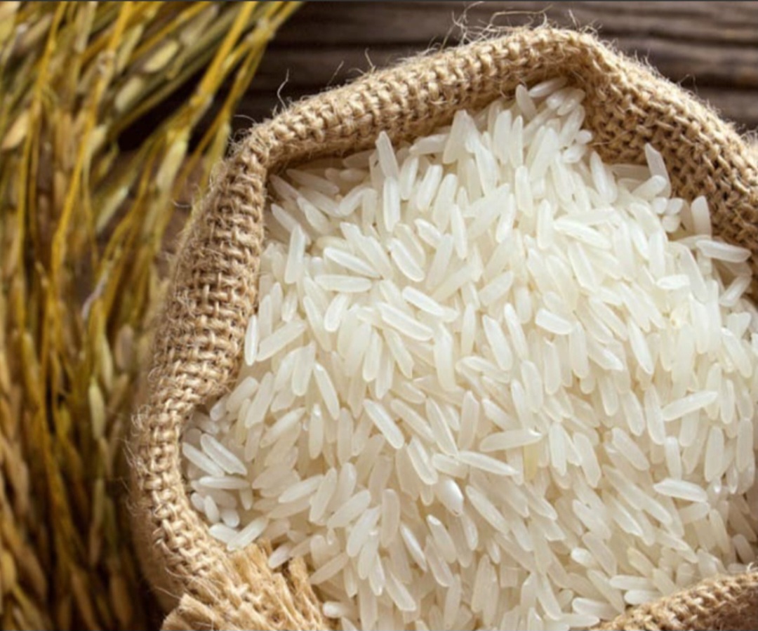 خرید و فروش برنج طارم هاشمی درجه یک و مرغوب با قیمت فوق العاده
