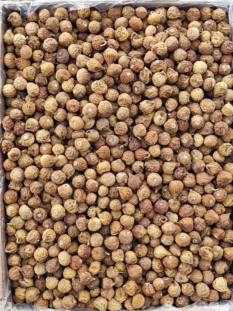 خرید و فروش انجیر خشک شکلاتی + قیمت عالی
