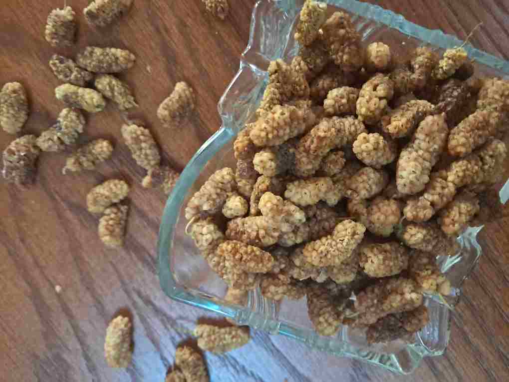 توت خشک اعلاء فروش استثنایی