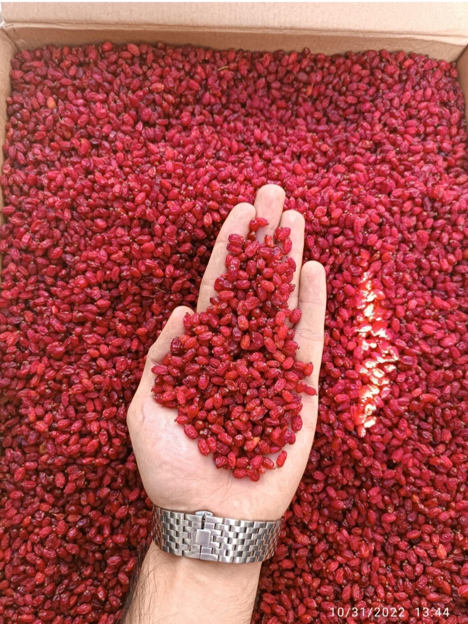 خرید زرشک پفکی درجه یک + قیمت استثنایی