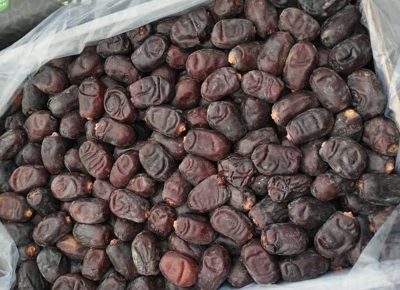 قیمت خرما مضافتی + فروش عمده