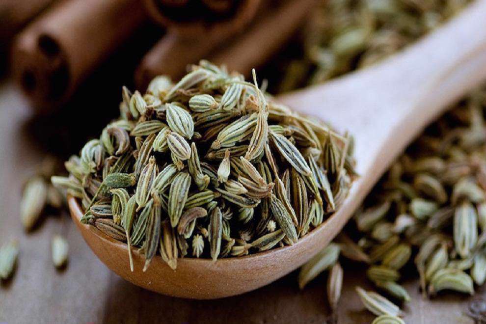 خرید عصاره خوراکی رازیانه + قیمت رقابتی