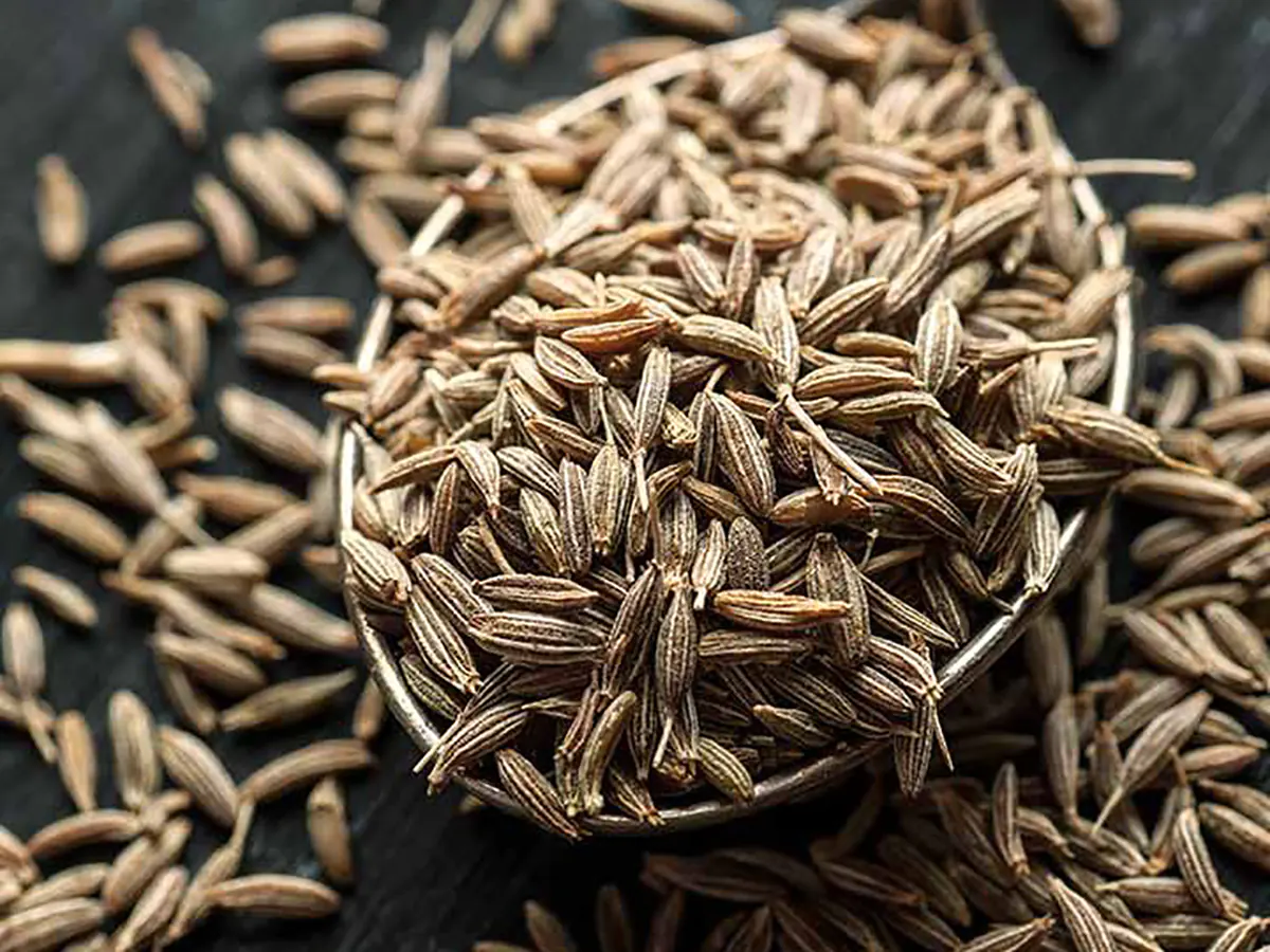 خرید عصاره خوراکی زنیان + قیمت رقابتی