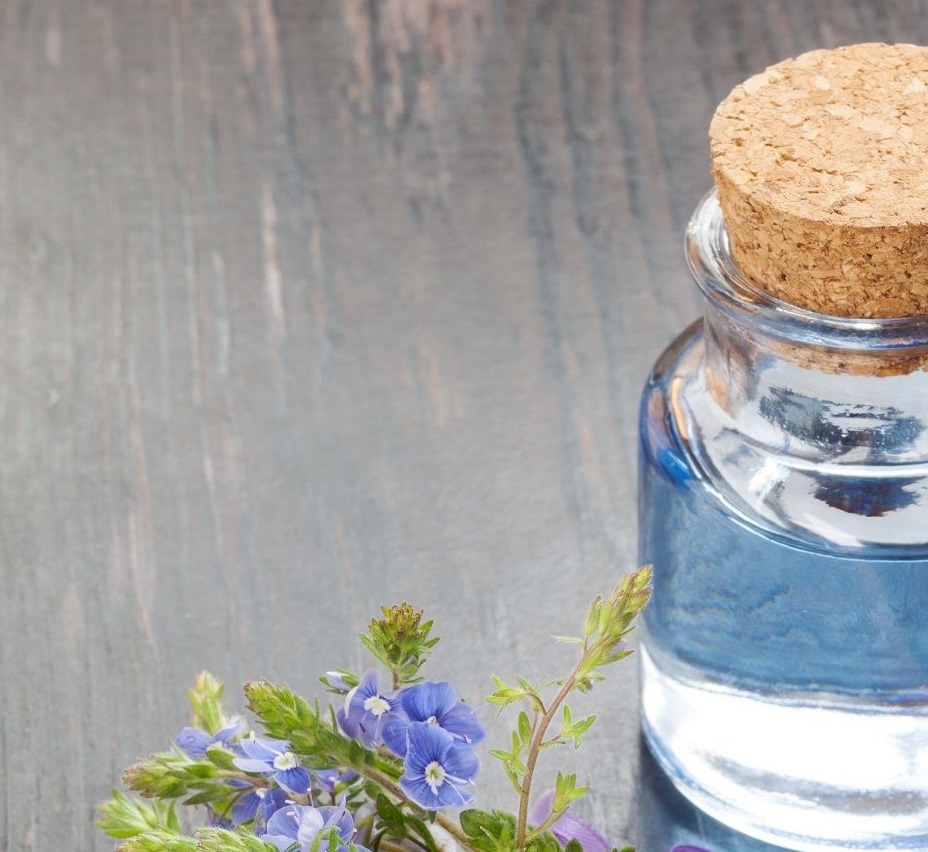 خرید عصاره خوراکی کاسنی + طبیعی