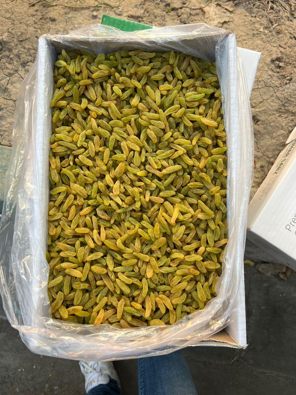خرید کشمش سبز تیزابی