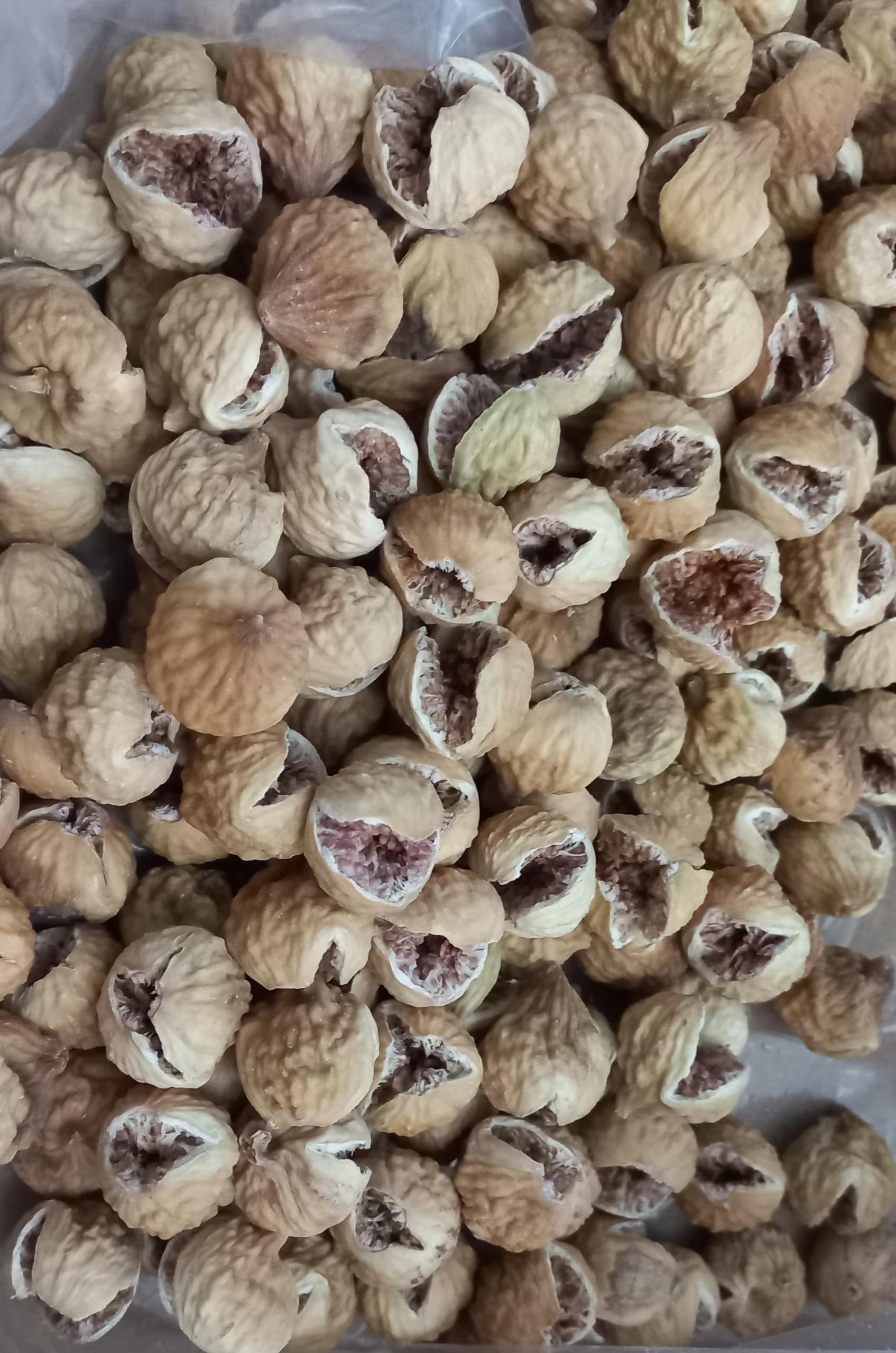 فروش عمده انجیر صد یک دو آ + قیمت بی نظیر