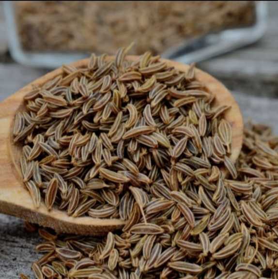 زیره افغانی با کیفیت صادراتی