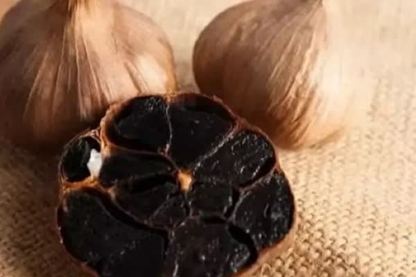 قیمت خرید سیر سیاه فرآوری شده ارگانیک درجه یک + فروش ویژه