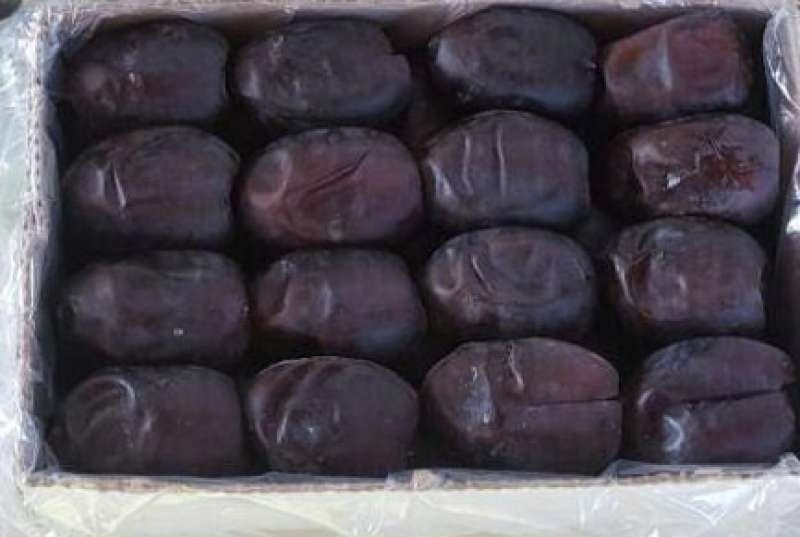 قیمت خرما رطب بم + فروش عمده