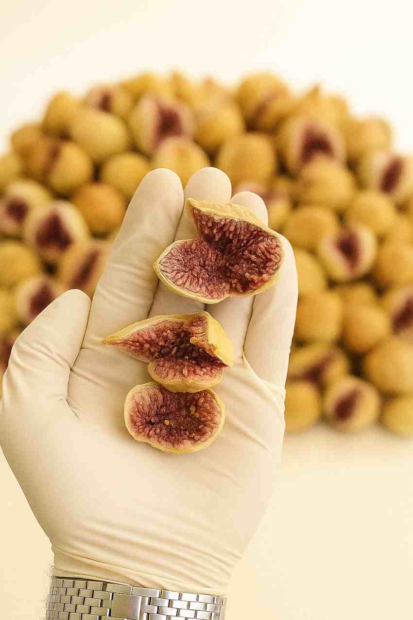 خرید تضمینی انجیر صد یک استهبان + با کیفیت درجه یک صادراتی