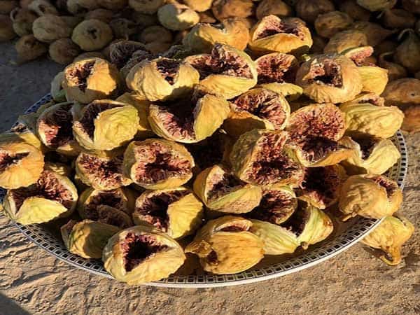 خرید عمده انجیر خشک اعلا بسته‌ بندی شده با کیفیت بالا