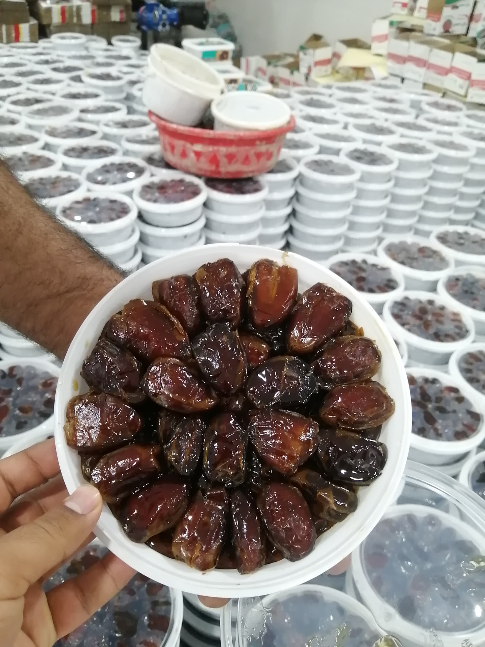 خرما کبکاب دانه درشت 1300 گرمی فروش عمده + کاملا ایده آل