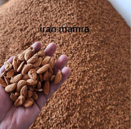 قیمت مغز تازه بادام درختی