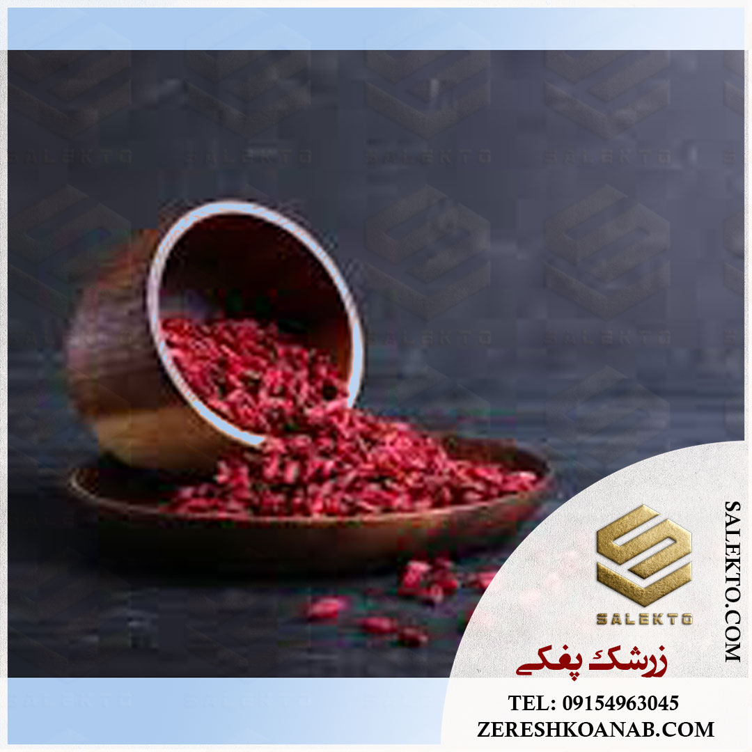 قیمت زرشک خشک صادراتی ارگانیک ایران + شرایط استثنائی