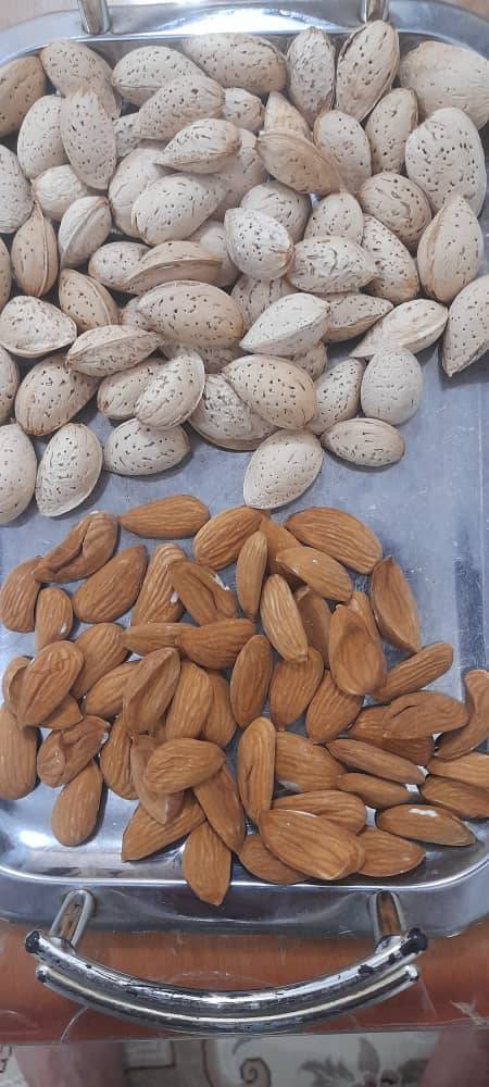 فروش بادام درختی پوست نازک + قیمت باور نکردنی