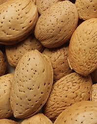 فروش مغز بادام درختی درشت ایرانی + قیمت باور نکردنی