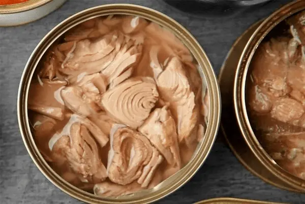 کنسرو ماهی تن در روغن ماهیار + قیمت خرید