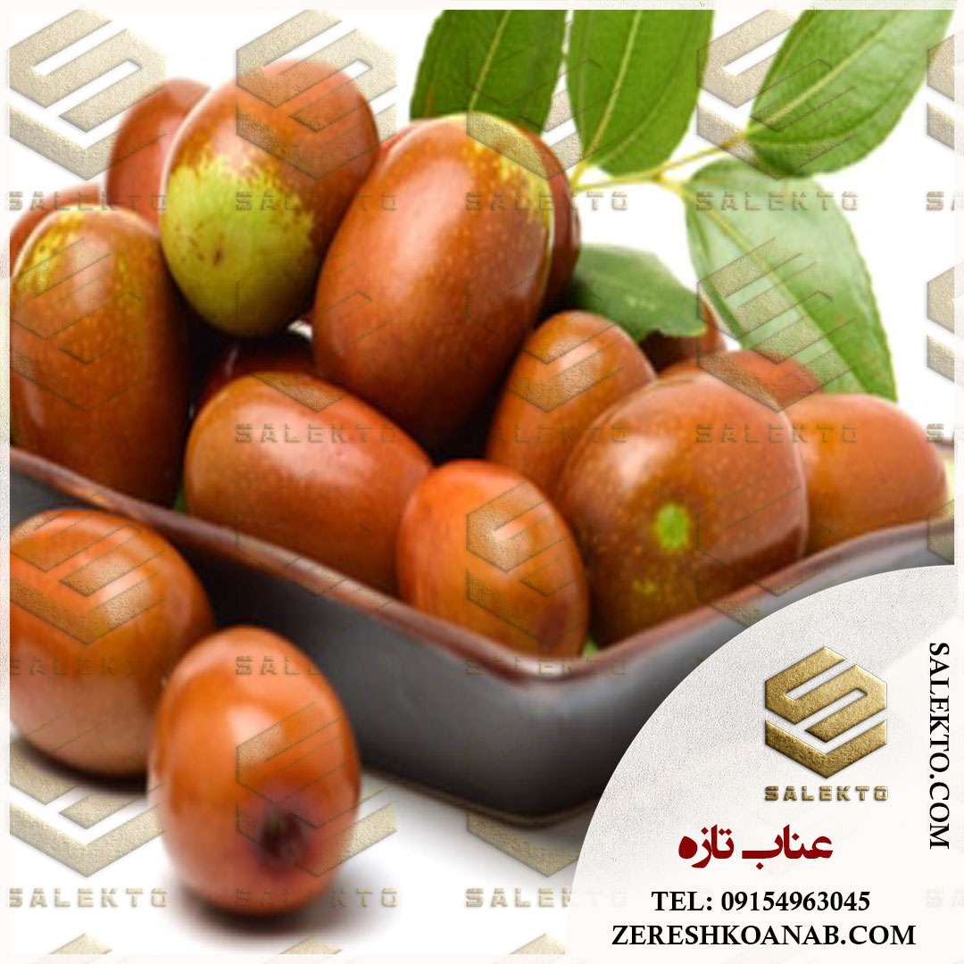 قیمت عناب تازه ارگانیک بیرجند + فروش فوق‌ العاده
