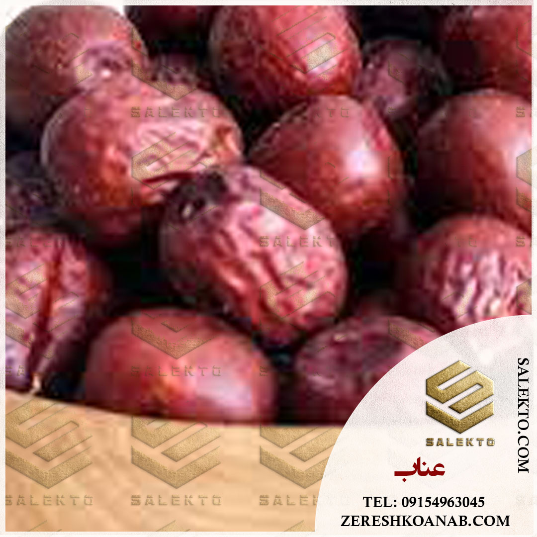 خرید عمده عناب تازه و خشک بیرجند + قیمت استثنائی