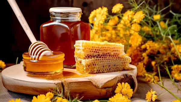 فروش عسل کوهدشت با قیمت باور نکردنی