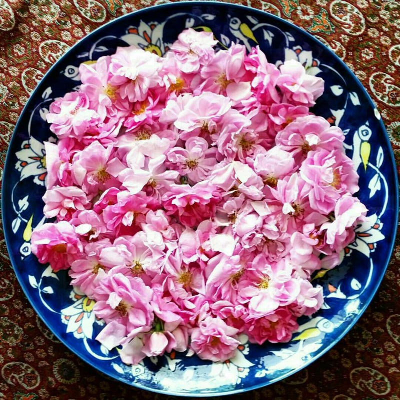 خرید پر گل محمدی تبریز
