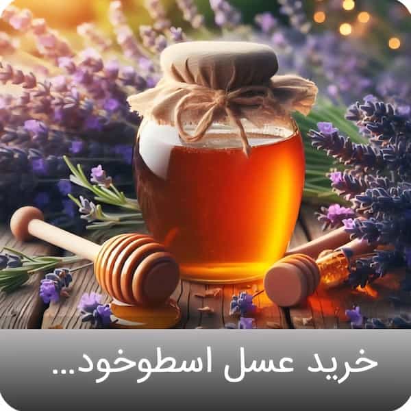 فروش عسل اسطوخودوس با شرایط استثنایی