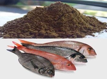 خرید پودر ماهی قهوه ای برای دام طیور