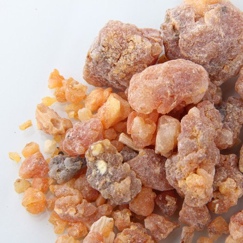 قیمت خرید صمغ گیاه باریجه + فروش ویژه