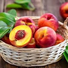 خرید میوه شلیل درجه یک صادراتی