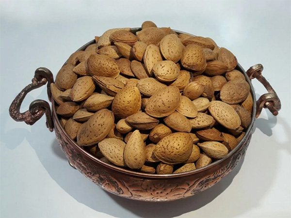 سفارش آنلاین بادام سنگی به صورت عمده + قیمت استثنایی