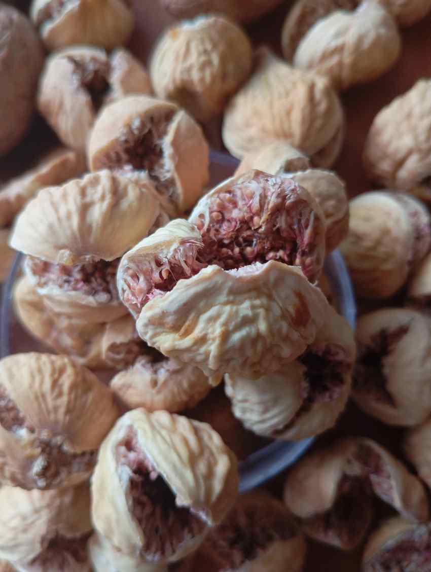 خرید به صرفه انجیر خشک استهبان + محصول سال
