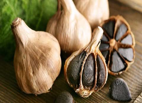 قیمت خرید سیر سیاه اصل و طبیعی + قیمت عالی و با کیفیت