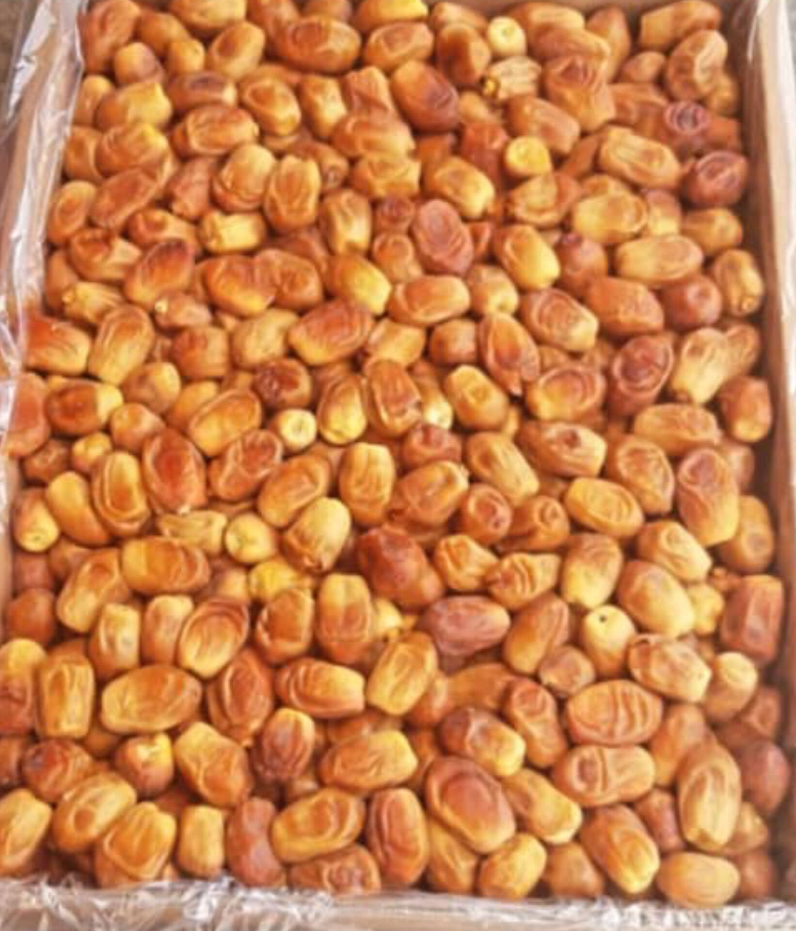 فروش عمده + خرما زاهدی قیر و کارزین