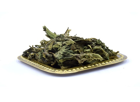گیاه گزنه فواید شگفت انگیز روش مصرف و عوارض احتمالی