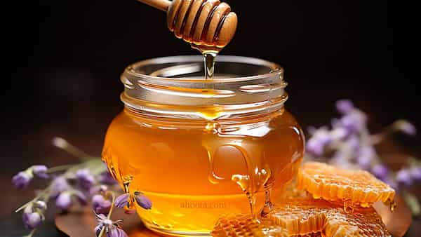 فروش عسل ارگانیک باشرایط استثنایی