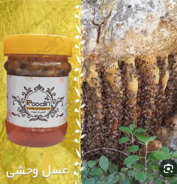 فروش ویژه عسل وحشی اصل با تضمین کیفیت