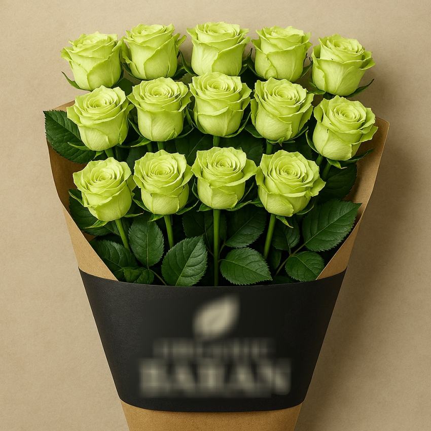 شاخه گل رز سبز هلندی + فروش عمده صادراتی
