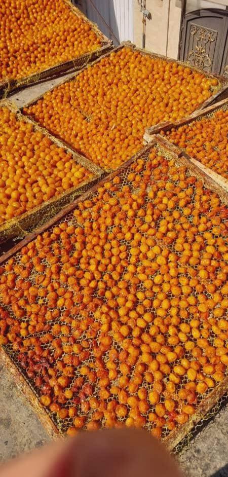 خرید آلو بخارا دودی