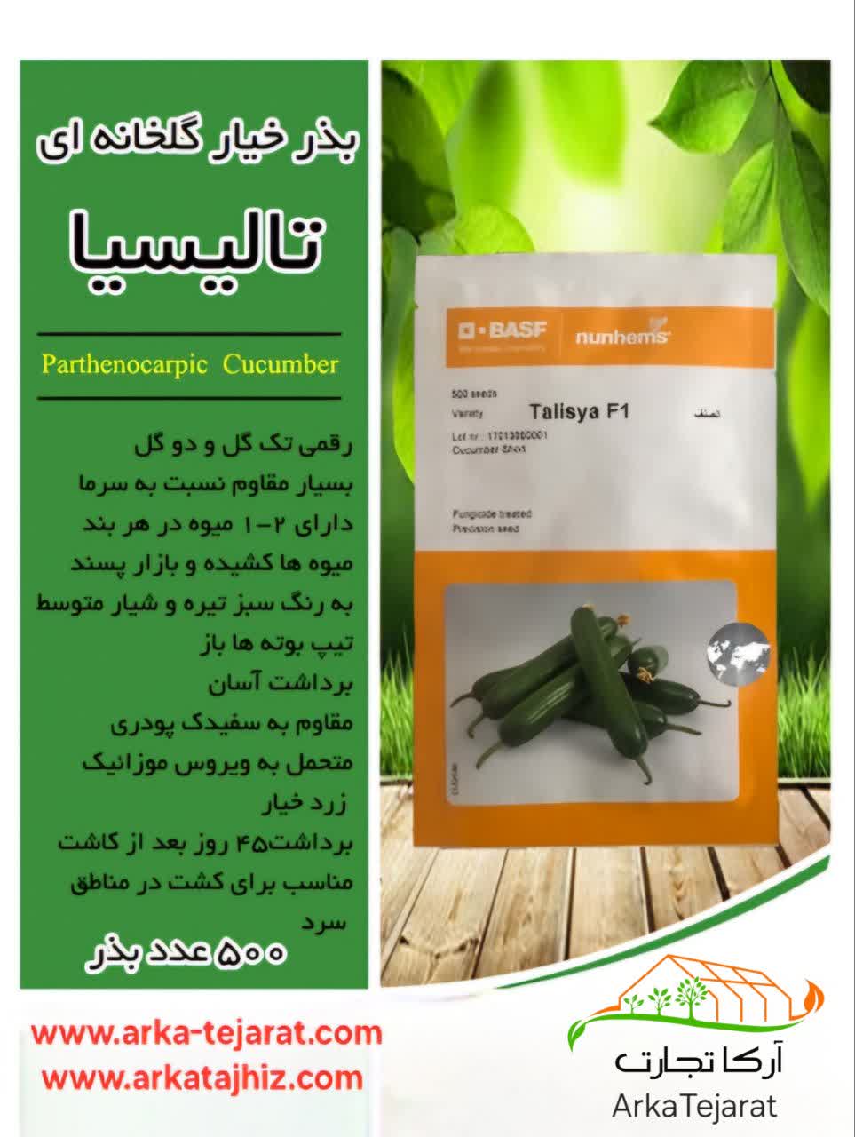 خرید بذر خیار گلخانه‌ای تالیسیا بسته 500 عددی + قیمت فروش استثنایی