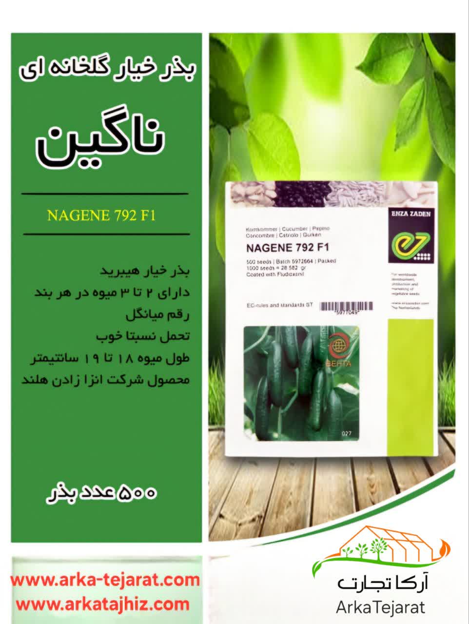 قیمت خرید بذر خیار گلخانه ای ناگین F1 + فروش ویژه