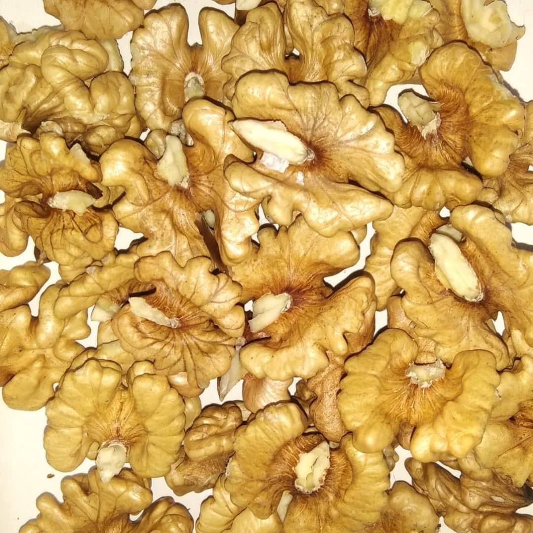 تصویر 1 از قیمت خرید گردو خشک تویسرکان + فروش ویژه